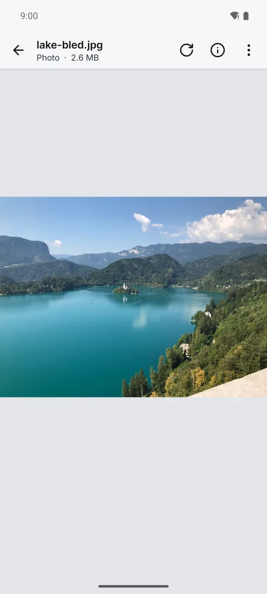 A photo of Lake Bled open in Pure Peek.