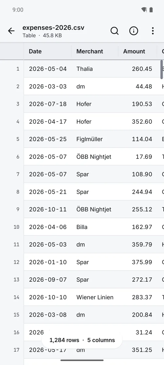 A CSV of expenses as a table with the header row and row numbers pinned.